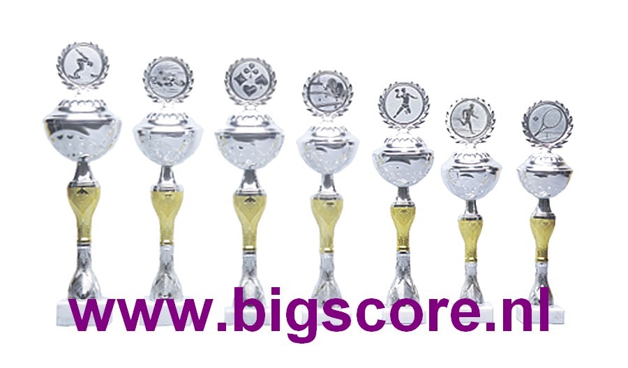 Z510 Beker Goud-Zilver
